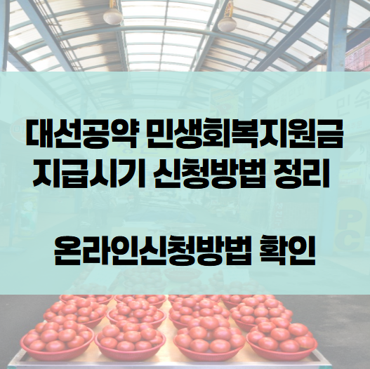 민생회복지원금 신청방법 확인