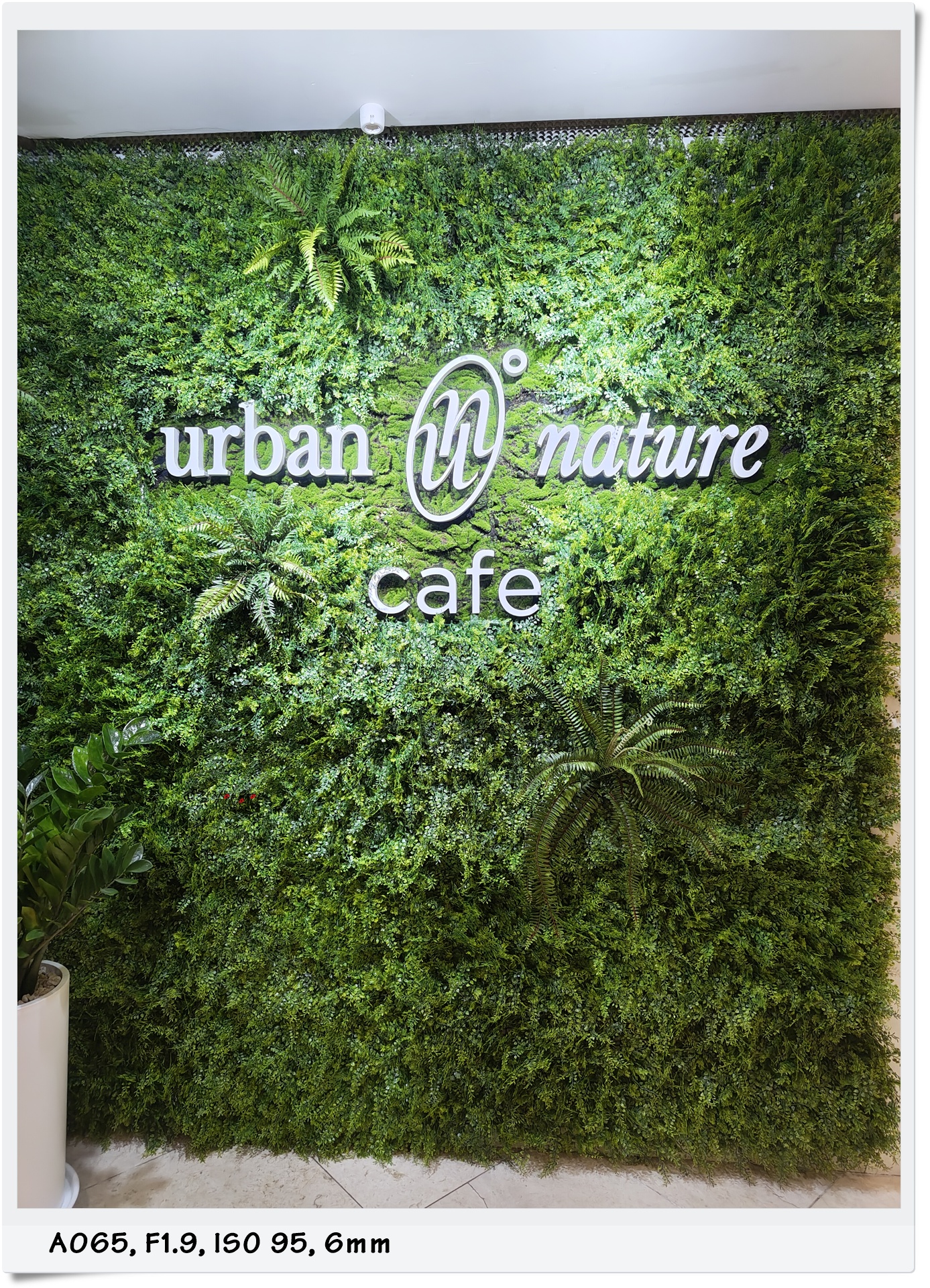 부산 해운대 파충류(도마뱀) 카페, 어반네이처 (비바리움/테라리움)