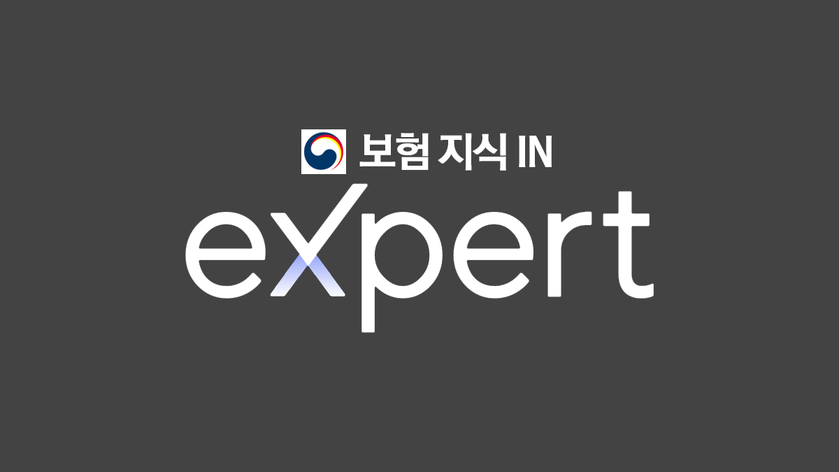 대한민국손해보험사전체