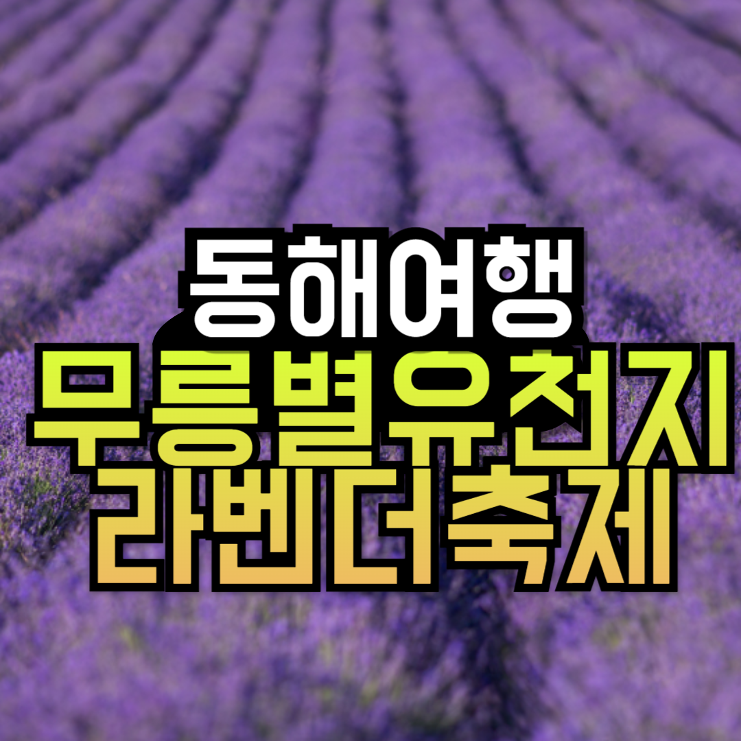 동해 무릉별유천지 라벤더 축제 기본정보