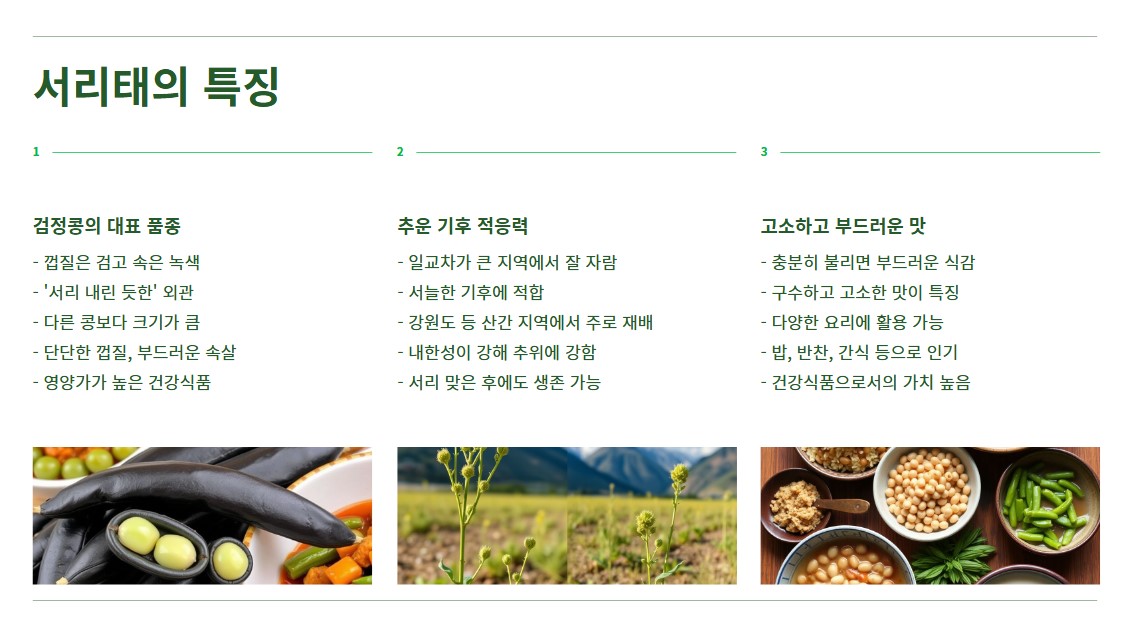 서리태의 특징