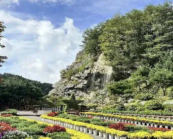 피나클랜드 오천만송이 국화축제_6