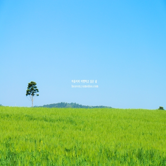 5월 여행지 추천