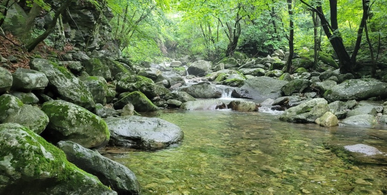 가평 조무락계곡 (경기 가평) 관련 사진
