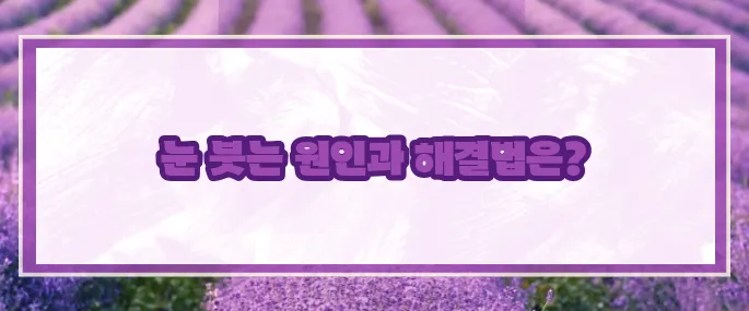 눈이 붓는 증상 원인과 대처법 (+총정리)