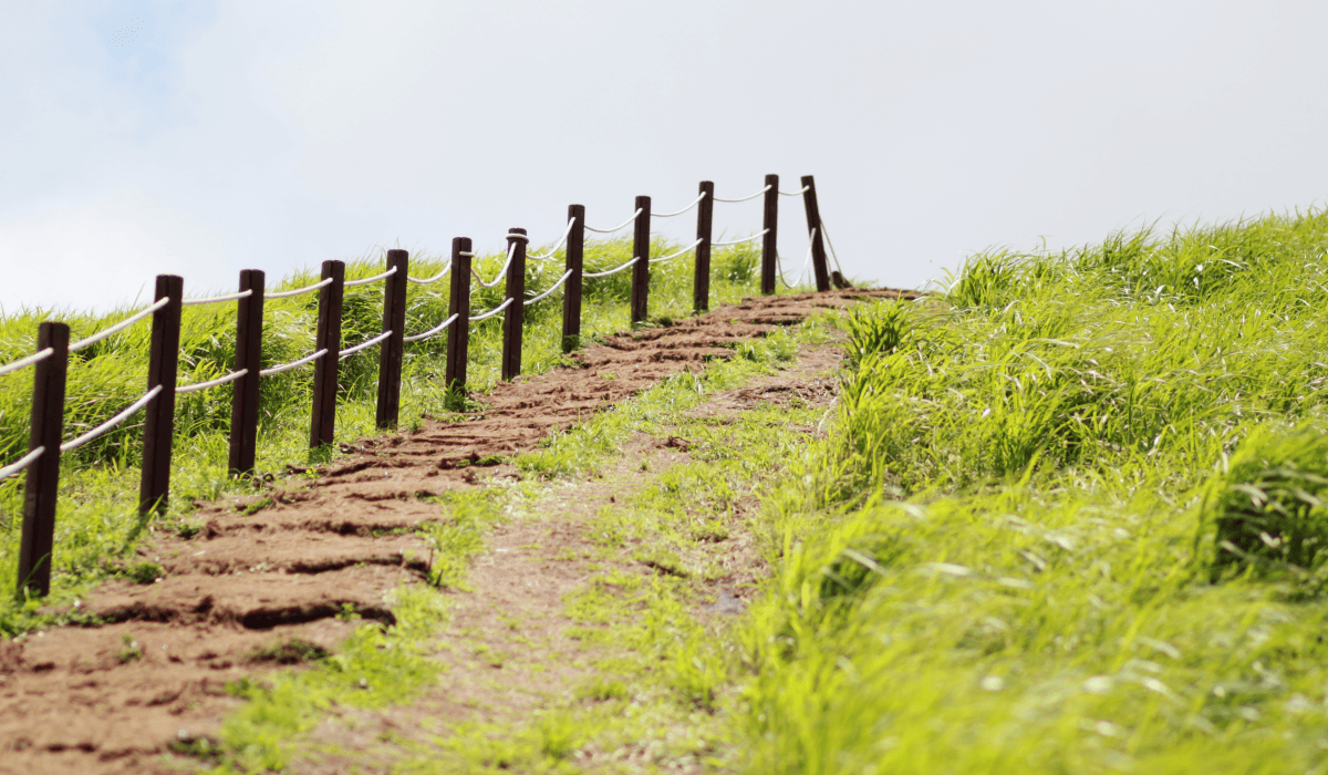 국내_여행자보험_인터넷가입_8