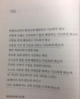 내일 모레 내일 모래 올바른 표현 알아보기 완벽 가이드_18