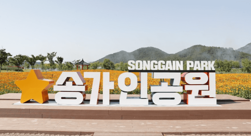 송가인 마을