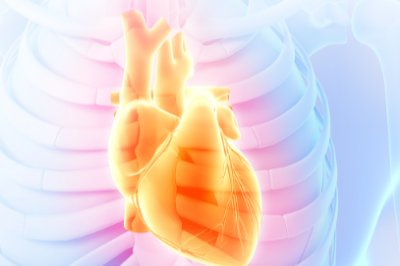 대사증후군-심혈관질환