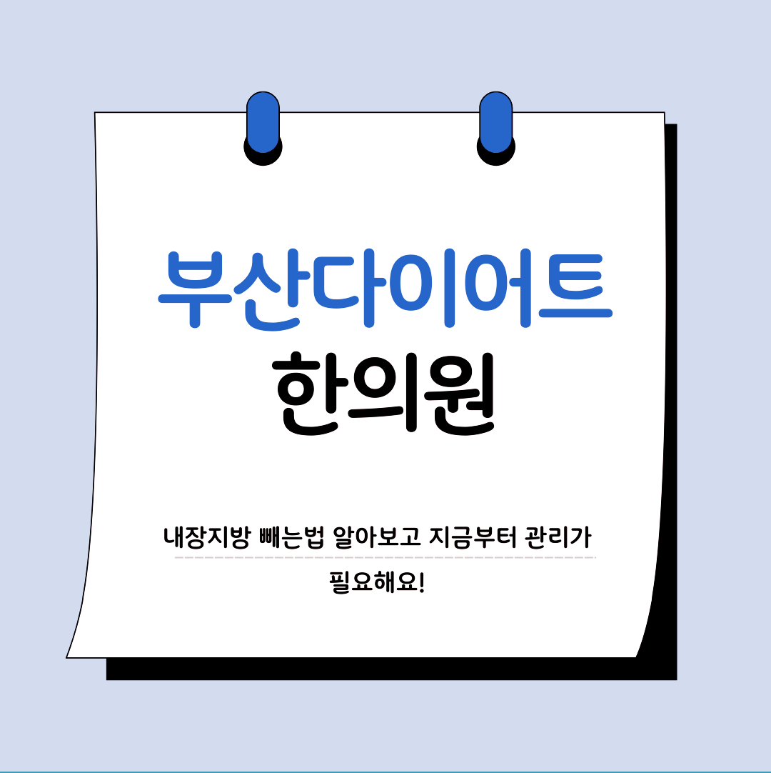 부산다이어트한의원 내장지방 빼는법 알아보고 지금부터 관리가 필요해요!