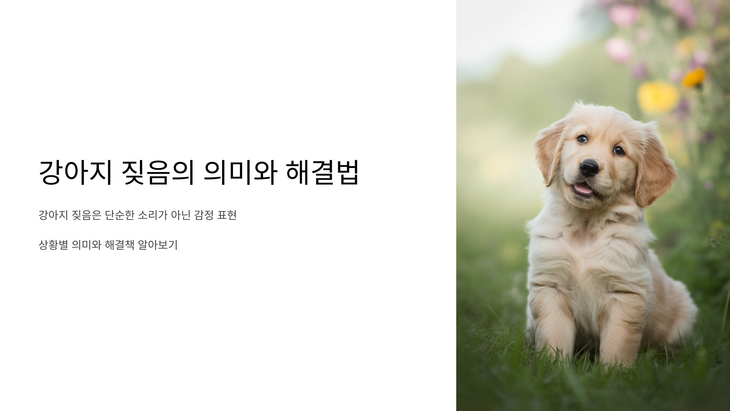 강아지 짖음
