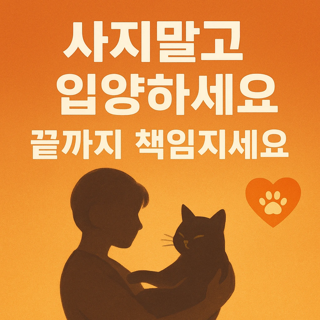 고양이 보호소 입양