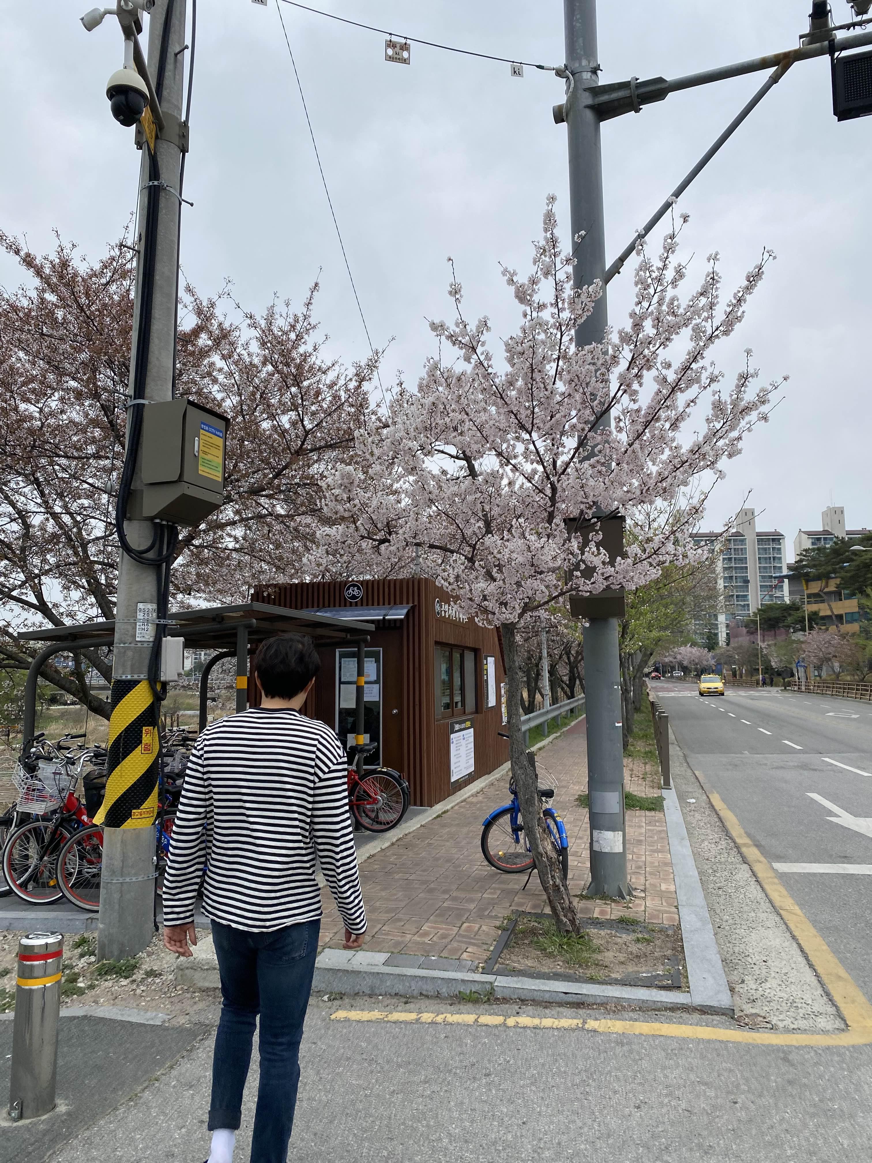 alt 태그