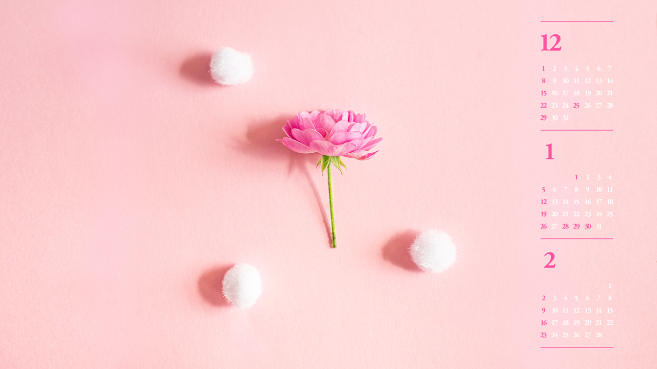 07 모란꽃 한송이 B - 2025년1월 노트북배경화면