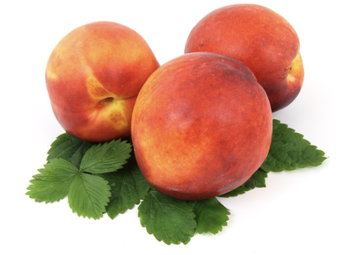 복숭아 보관방법 31