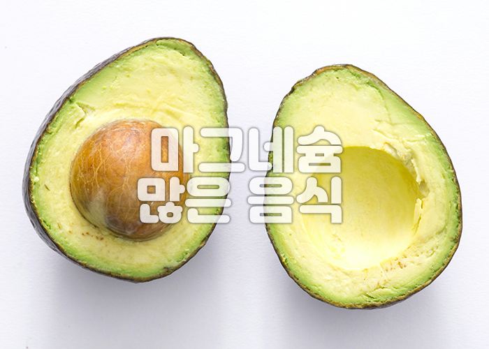 아보카도 이미지