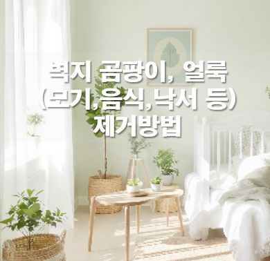 벽지 곰팡이 제거, 얼룩(모기자국,음식,낙서 등) 제거방법: 벽지 청소법