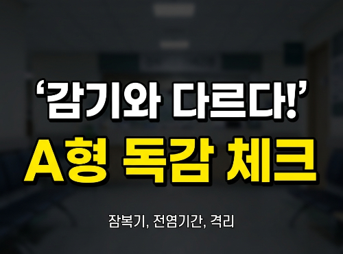 A형 독감 증상 심하면 감기와 다릅니다! 잠복기&middot;전염기간&middot;격리 기준&middot;치료법까지 한 번에 정리(+격리의무,입원,유행)