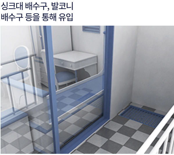 세스코 가정집 가격