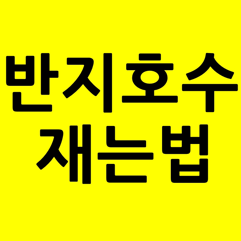 반지 호수 재는법