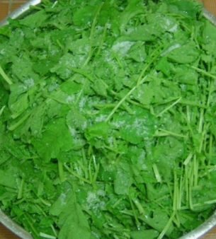 참나물 효능과 부작용 칼로리