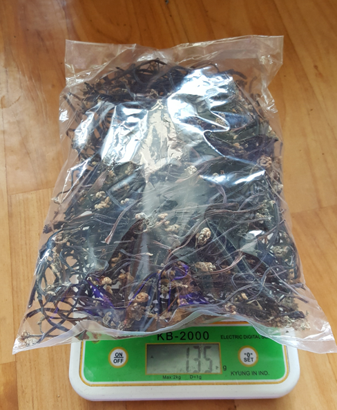 고사리 수확하기