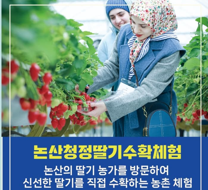 논산딸기축제 2025 ❘ 달콤한 봄을 맛보는 특별한 경험