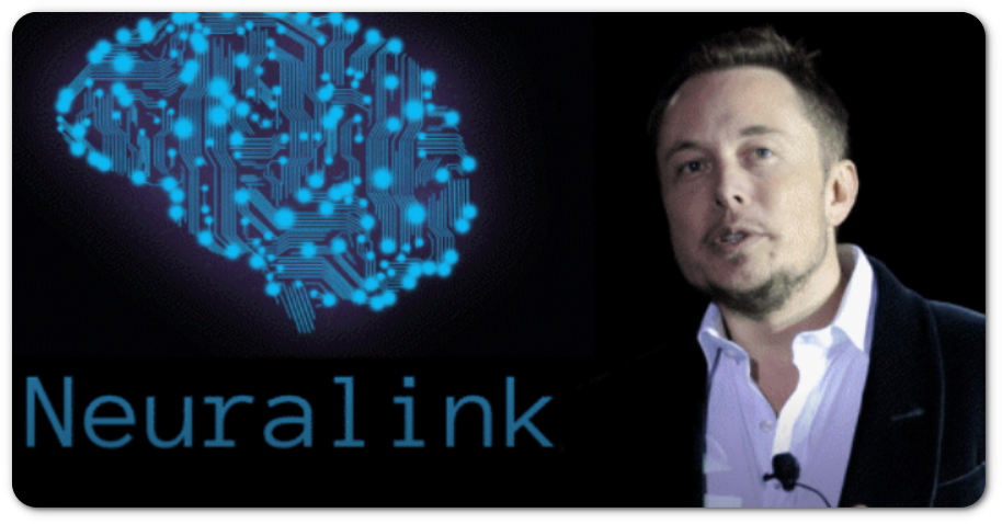 일론머스크 뉴럴링크