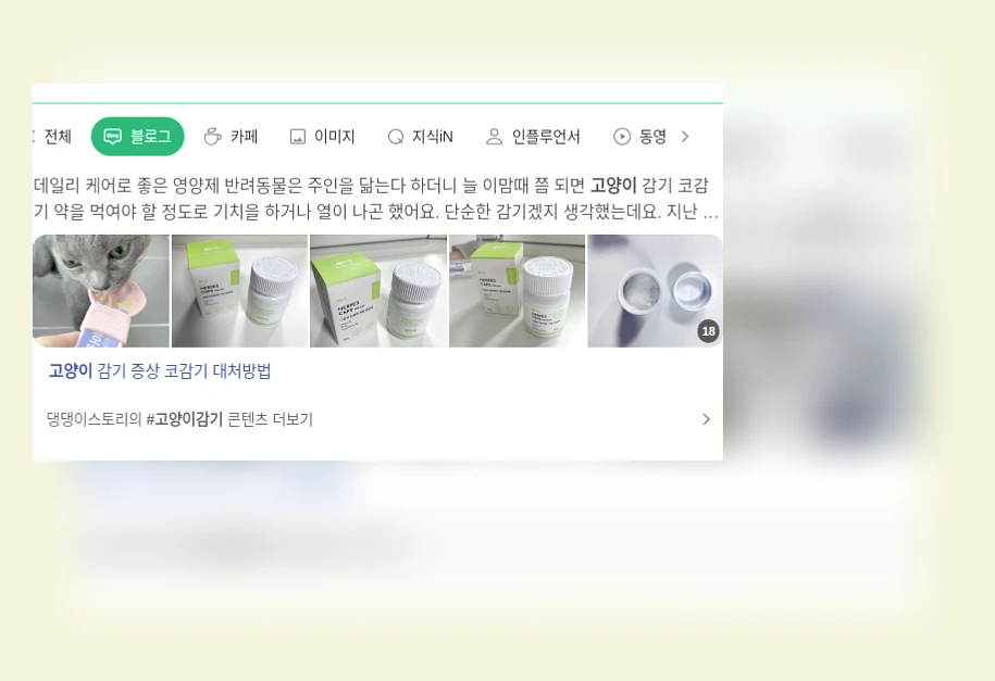 고양이 코 건강_1_subsection