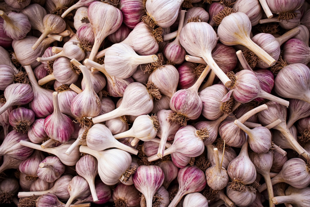 Garlic
