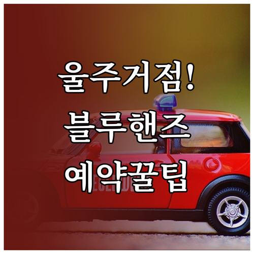 현대자동차 블루핸즈 울주군 거점별 특..