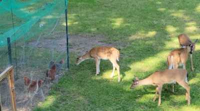 아두이노로 움직임을 감지