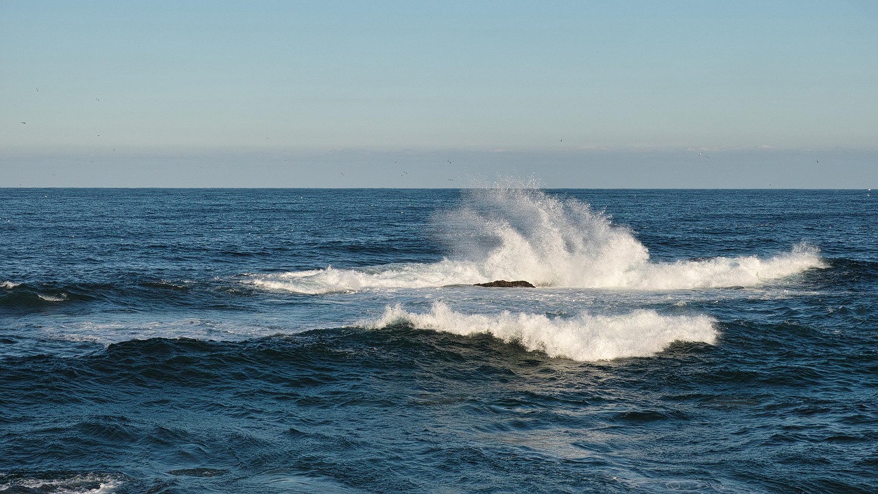 고성군 가진항 사진
