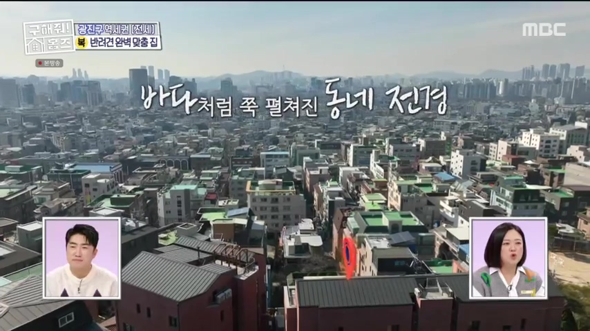 구해줘홈즈 댕댕하우스 동물병원 인접 서울시 광진구 중곡동 전세 매매 매물 가격 및 구조 인테리어 리모델링 최종선택 더보이즈 영훈 현재 소개