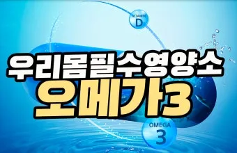 오메가3 효능 부작용 복용법으로_13