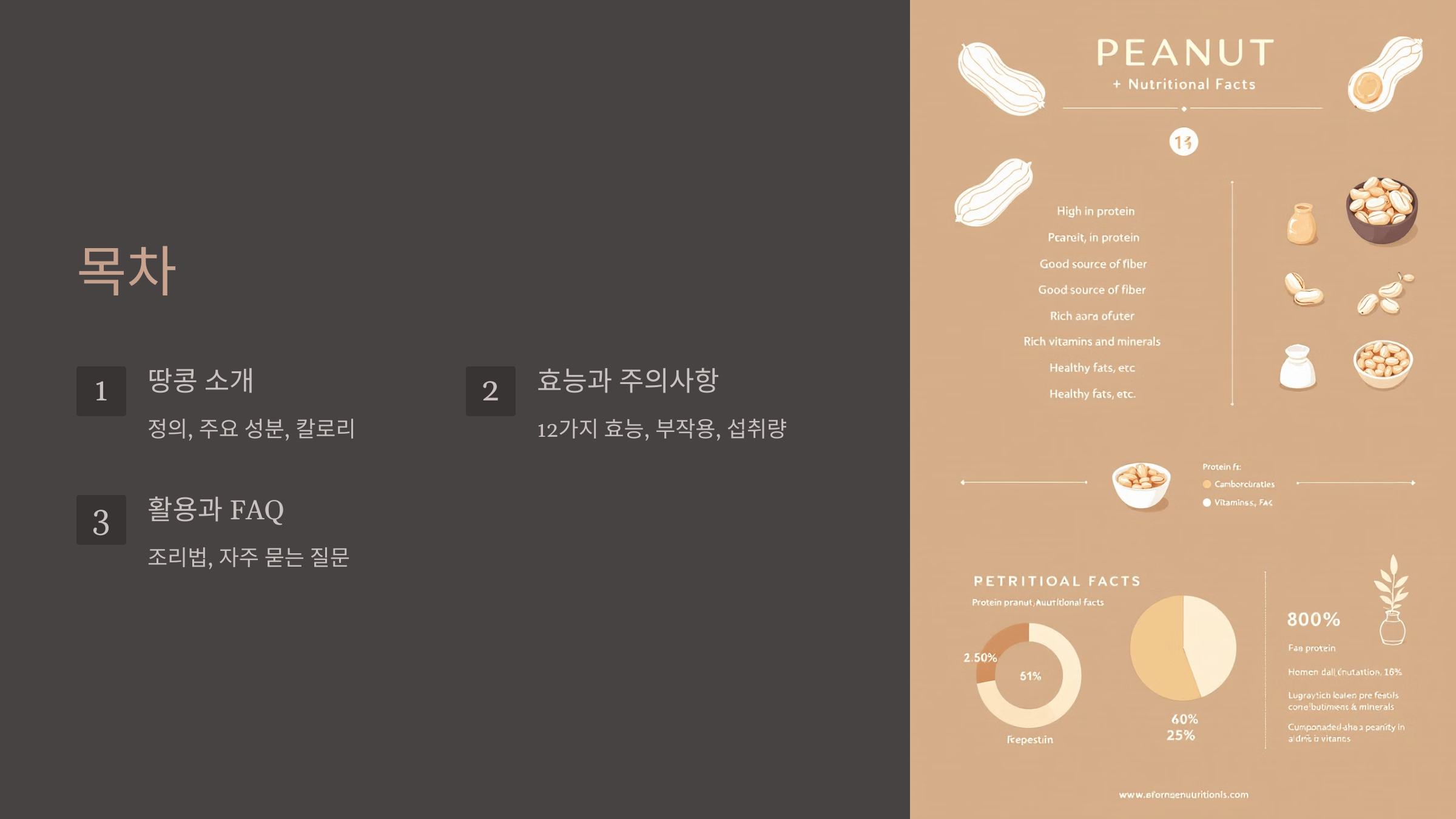 땅콩 사진입니다.