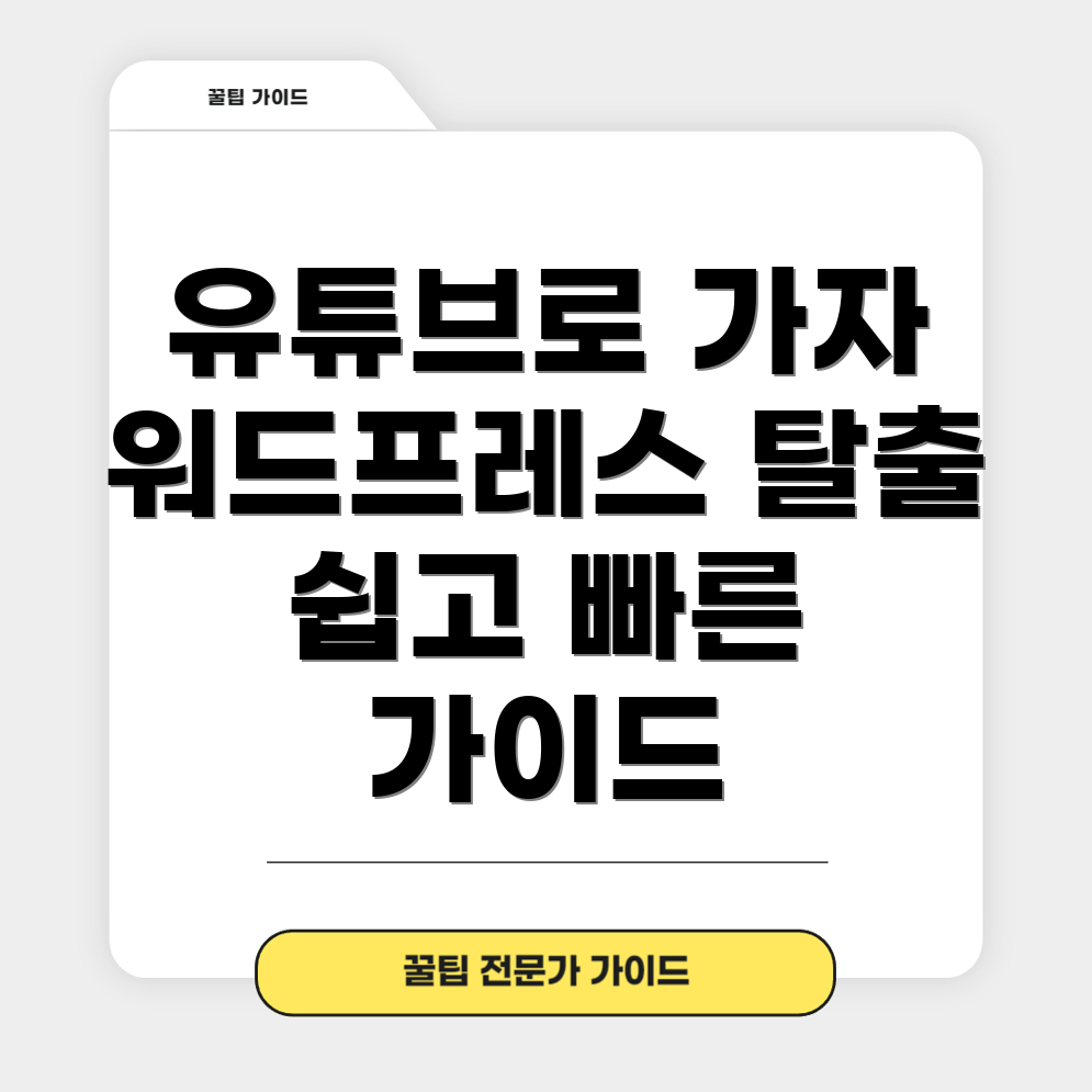 유튜브 전향