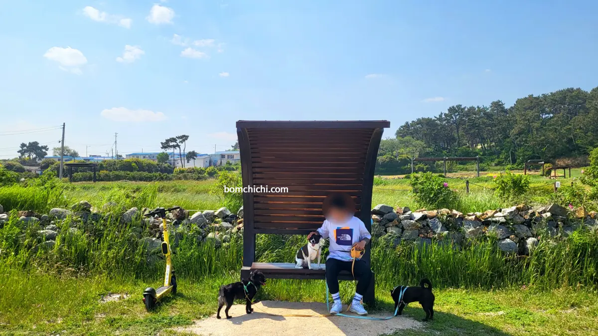 힐링쉼터에 앉아있는 강아지들과 사람