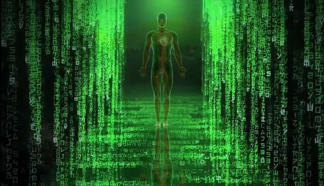 고령자 낙상 예방을 위한 운동 프로그램 분석