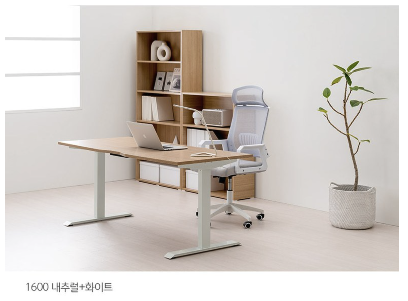 포더홈 모션데스크 공식홈페이지 제공 이미지