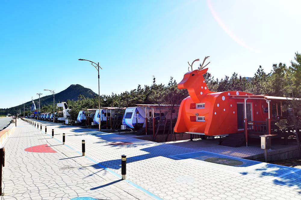 경상북도 영덕 고래불 국민 야영장 소개