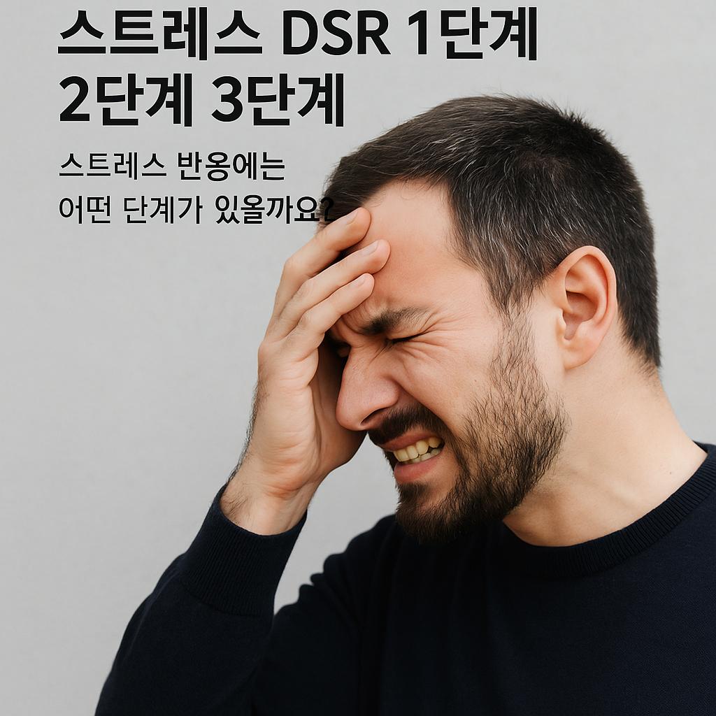 스트레스 dsr 1단계 2단계 3단계