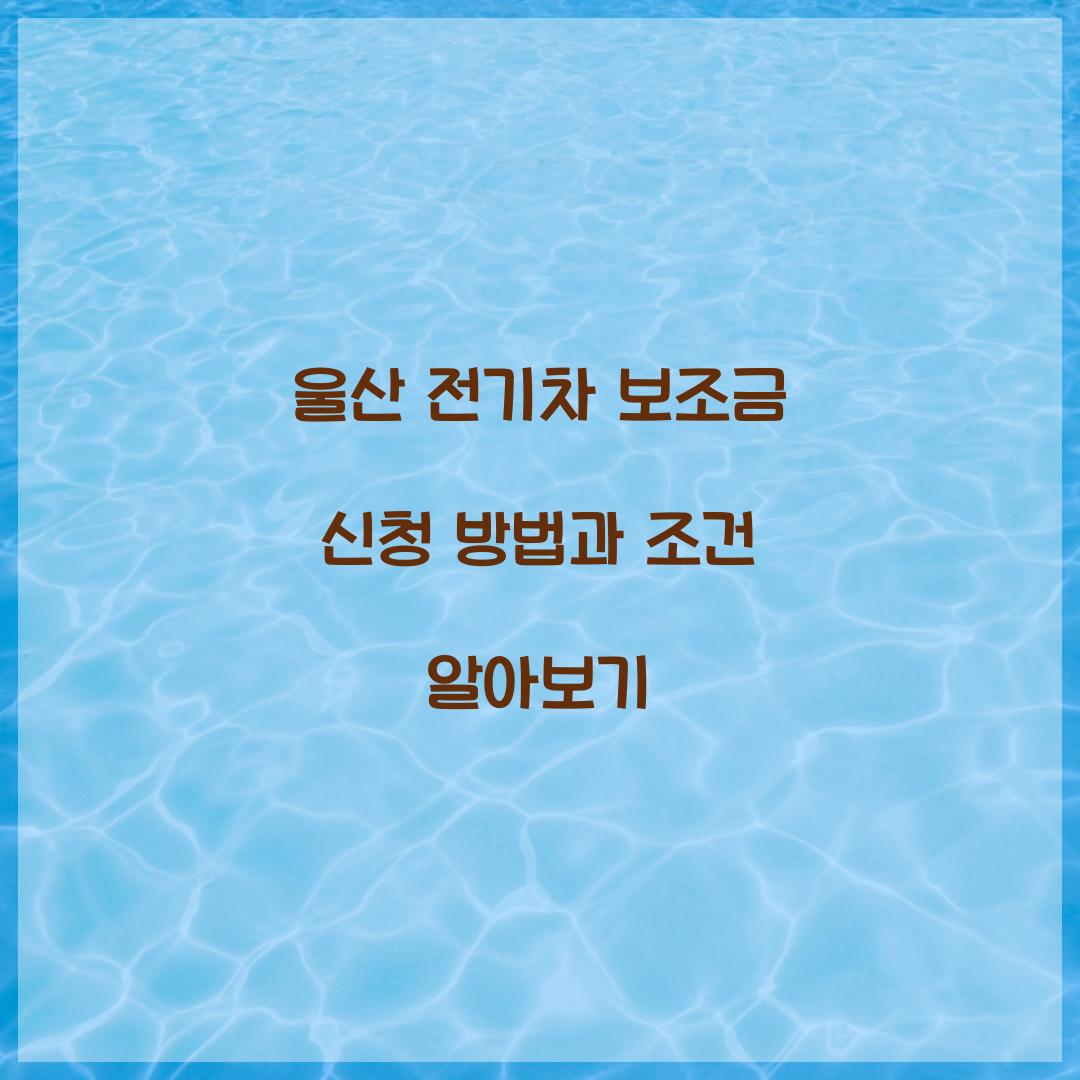 울산 전기차 보조금