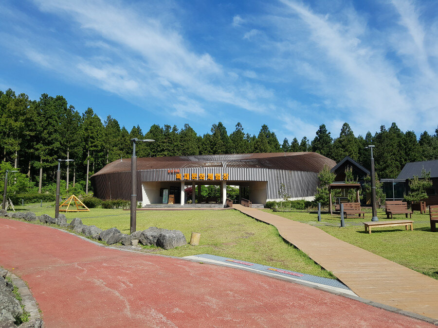 제주 붉은오름 자연휴양림 숲속야영장