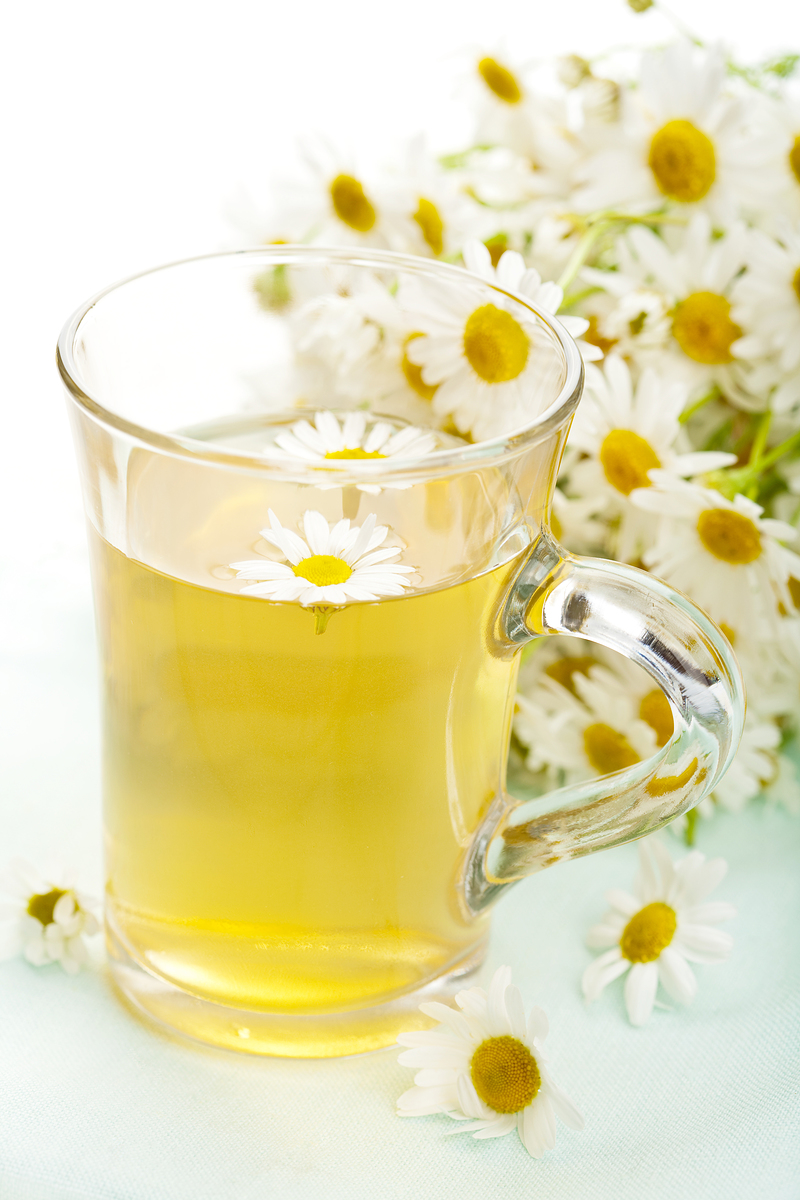 캐모마일차 효능
