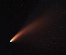 ENFP 유형 특징 분석