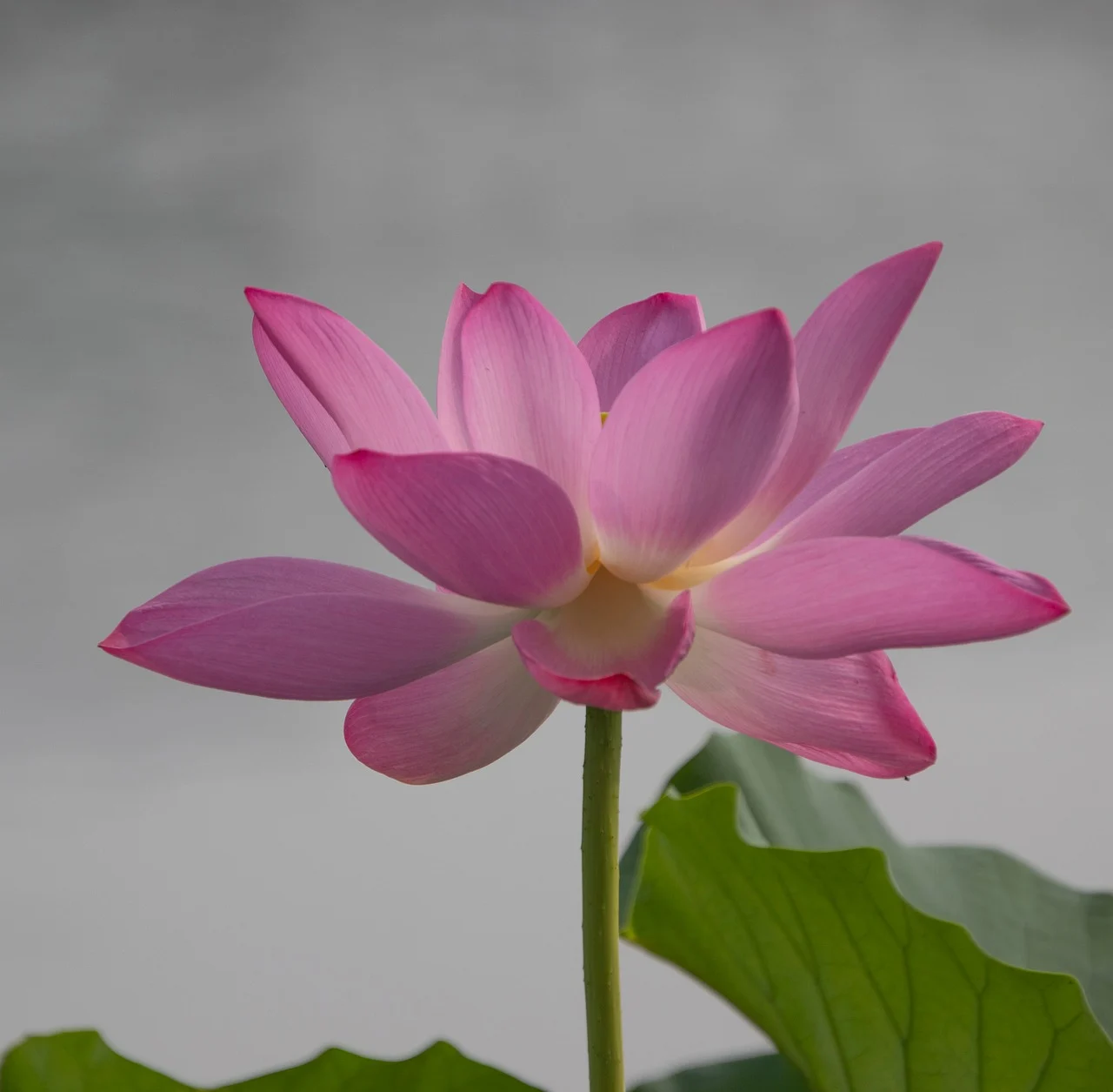 송파구 9시 이후 늦게까지 운영하는 맛집 Best4