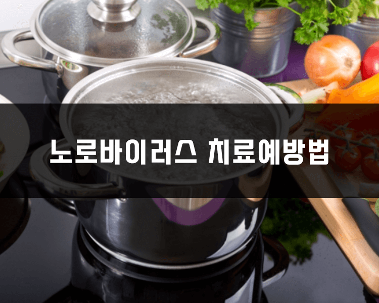노로바이러스 치료예방법 - 음식을 가열해서 먹기