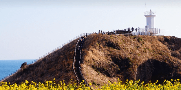 한라산 백록샘 최초 개방 예약방법 