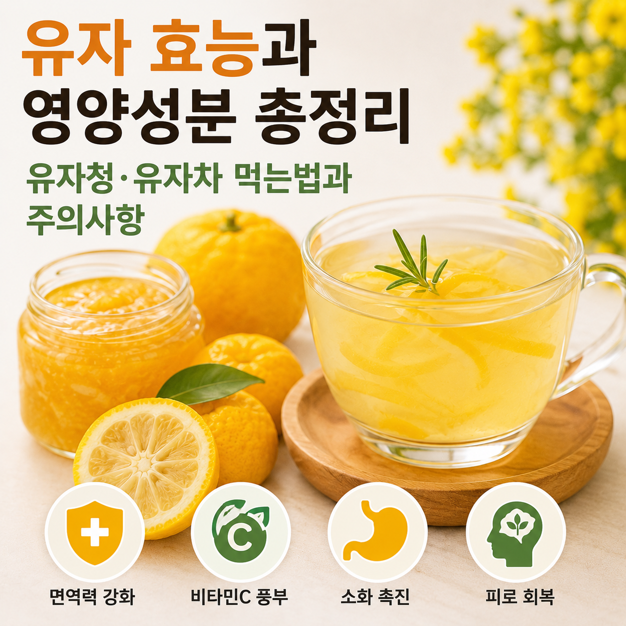 유자 효능